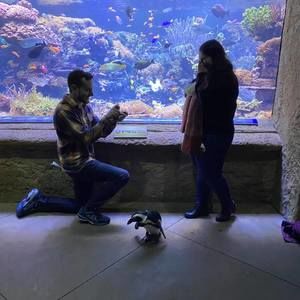 Meet your Posher, Chris